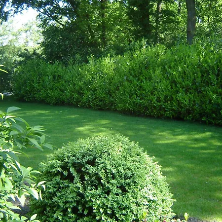 Kempen Comfort With Sauna & Tub, Cleaning Included * Vessem